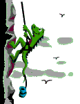 Animations - 309